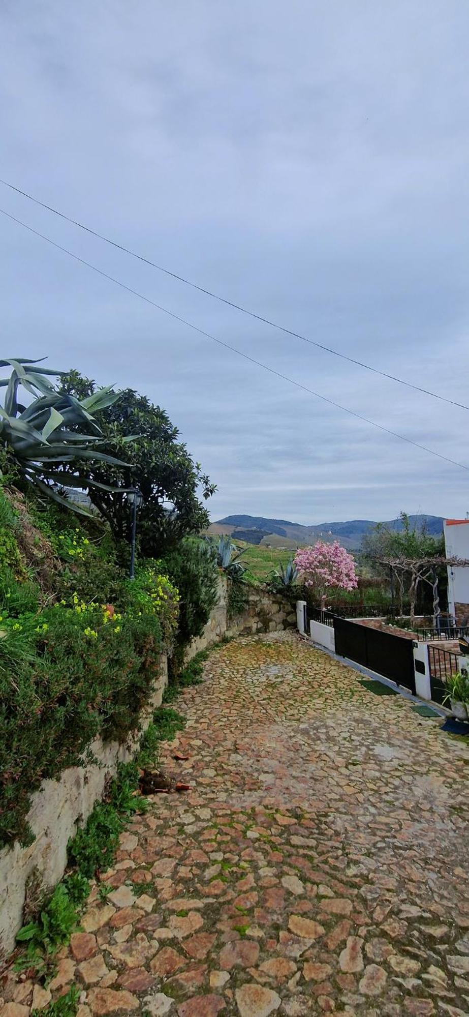 Casa Rodrigues Villa Pinhão Exteriör bild