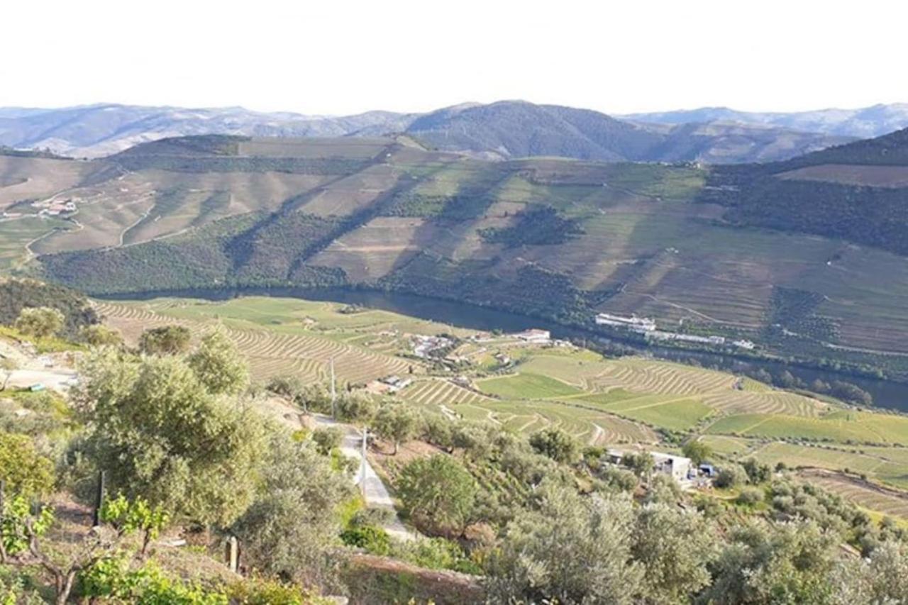 Casa Rodrigues Villa Pinhão Exteriör bild